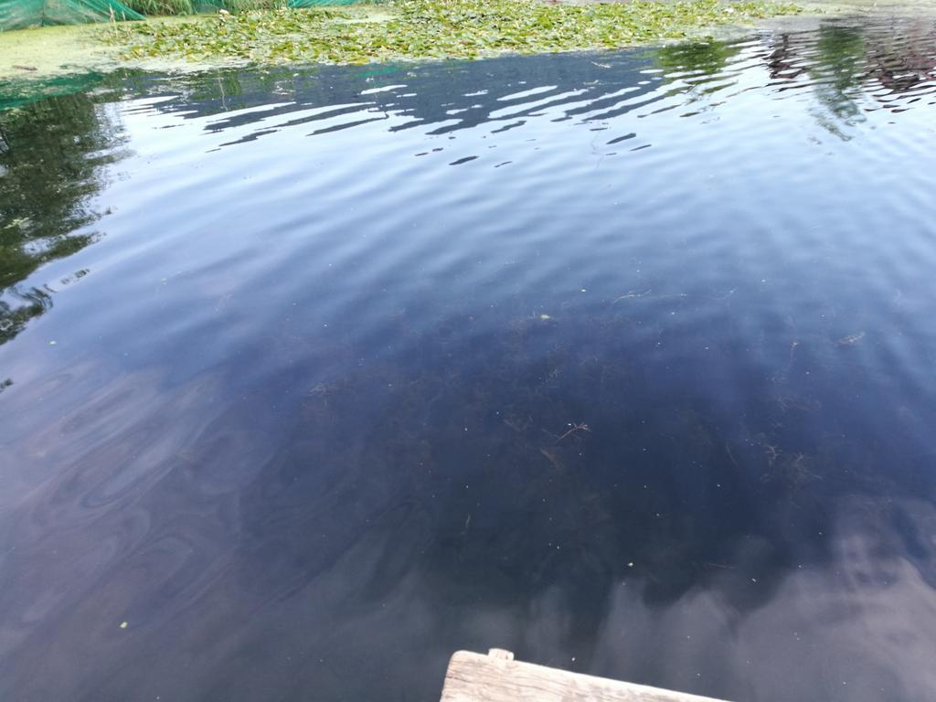 House Boat Hardy Palace Srīnagar Exterior foto